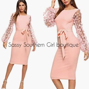 🆕⭐Blush pink mesh sleeve midi dress